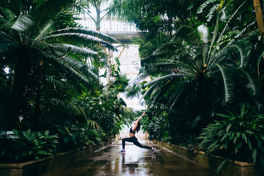 Lashara holding a warrior pose in a palm house, surrounded by tree ferns