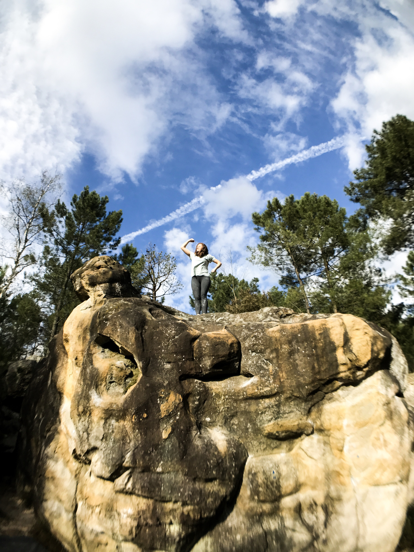 Me (Lashara) at the top of a boulder in FONTAINEBLEAU FOREST IN FRANCE