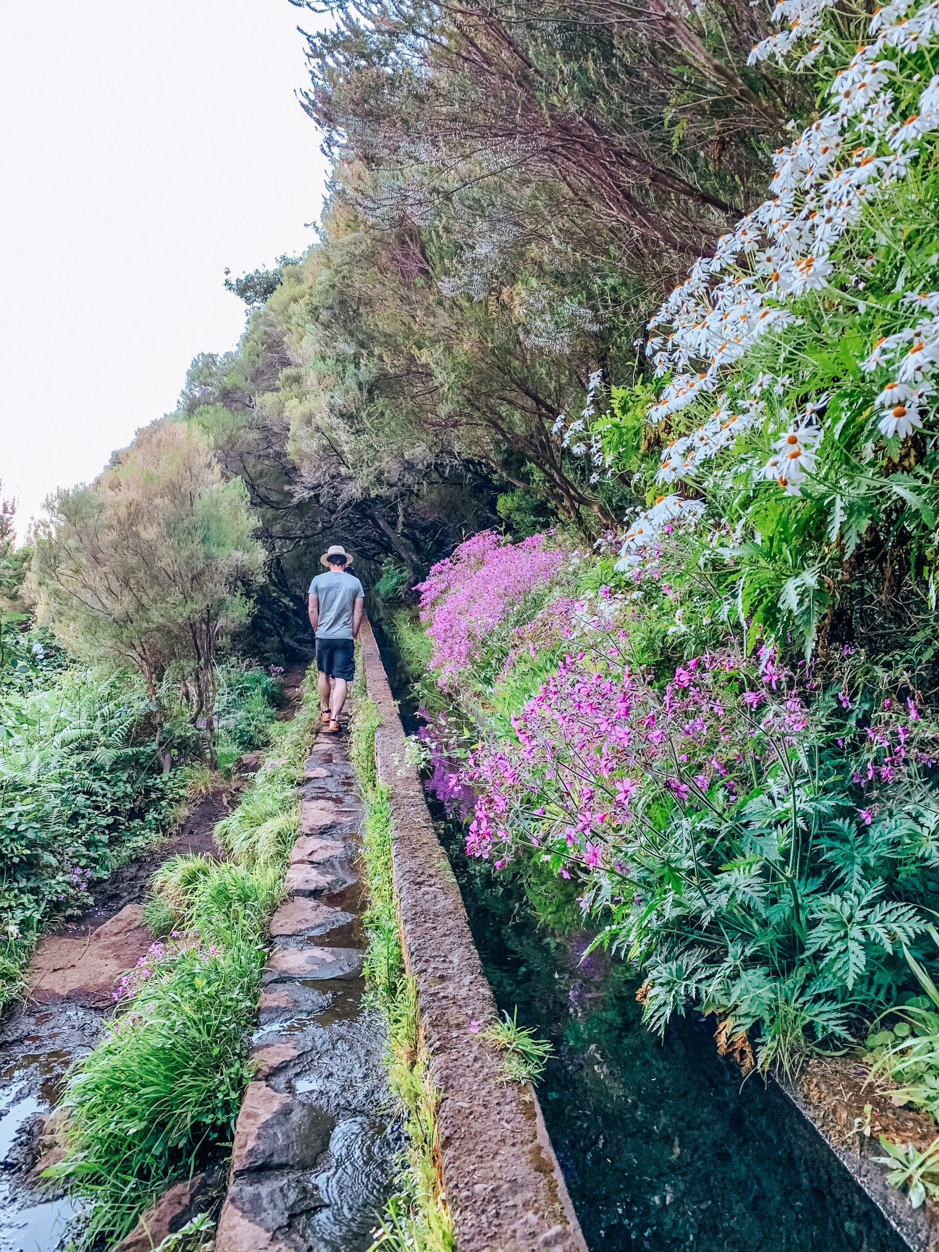Levada Das 25 Fontes route in Madeira