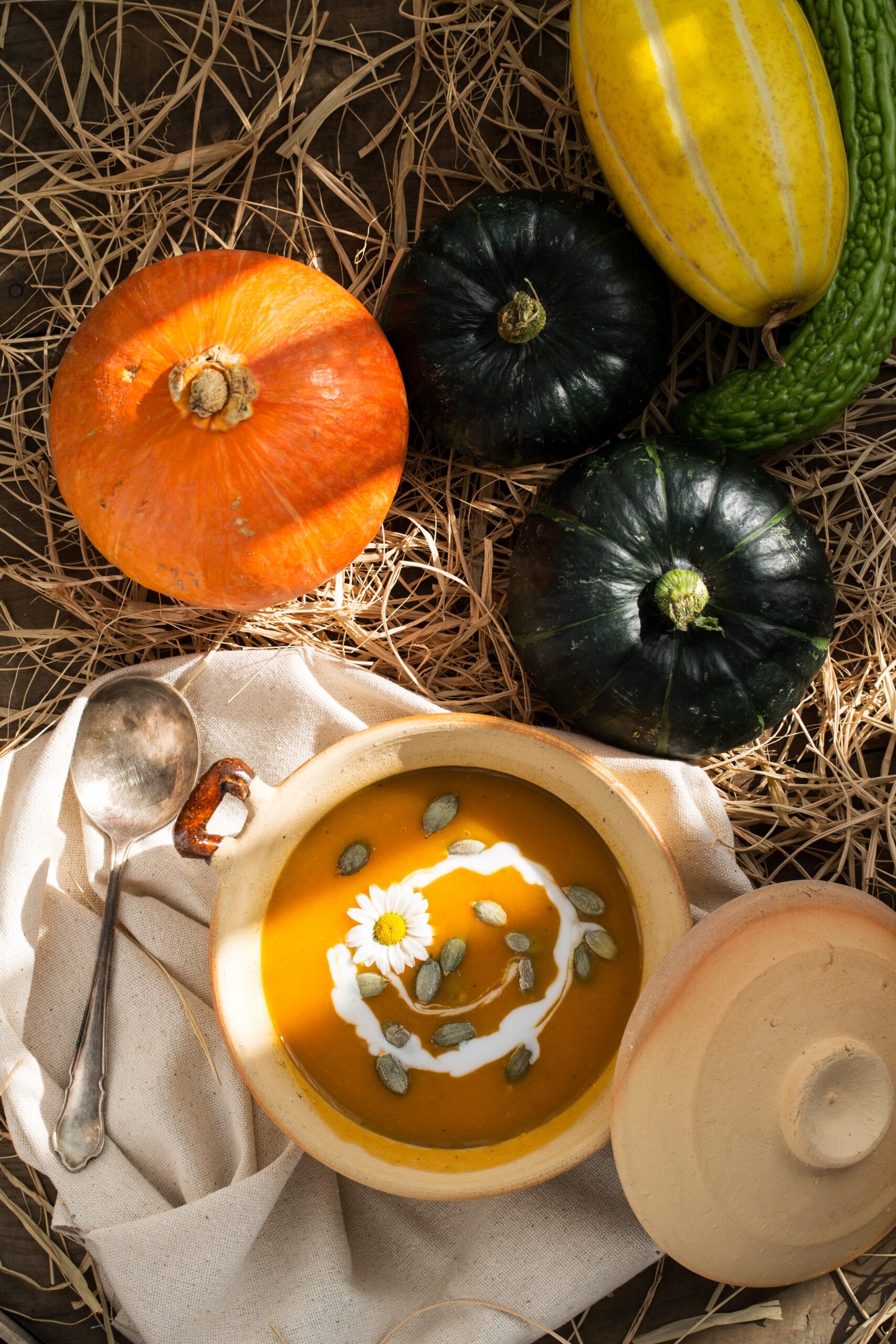 Pumpkin soup and pumpkins